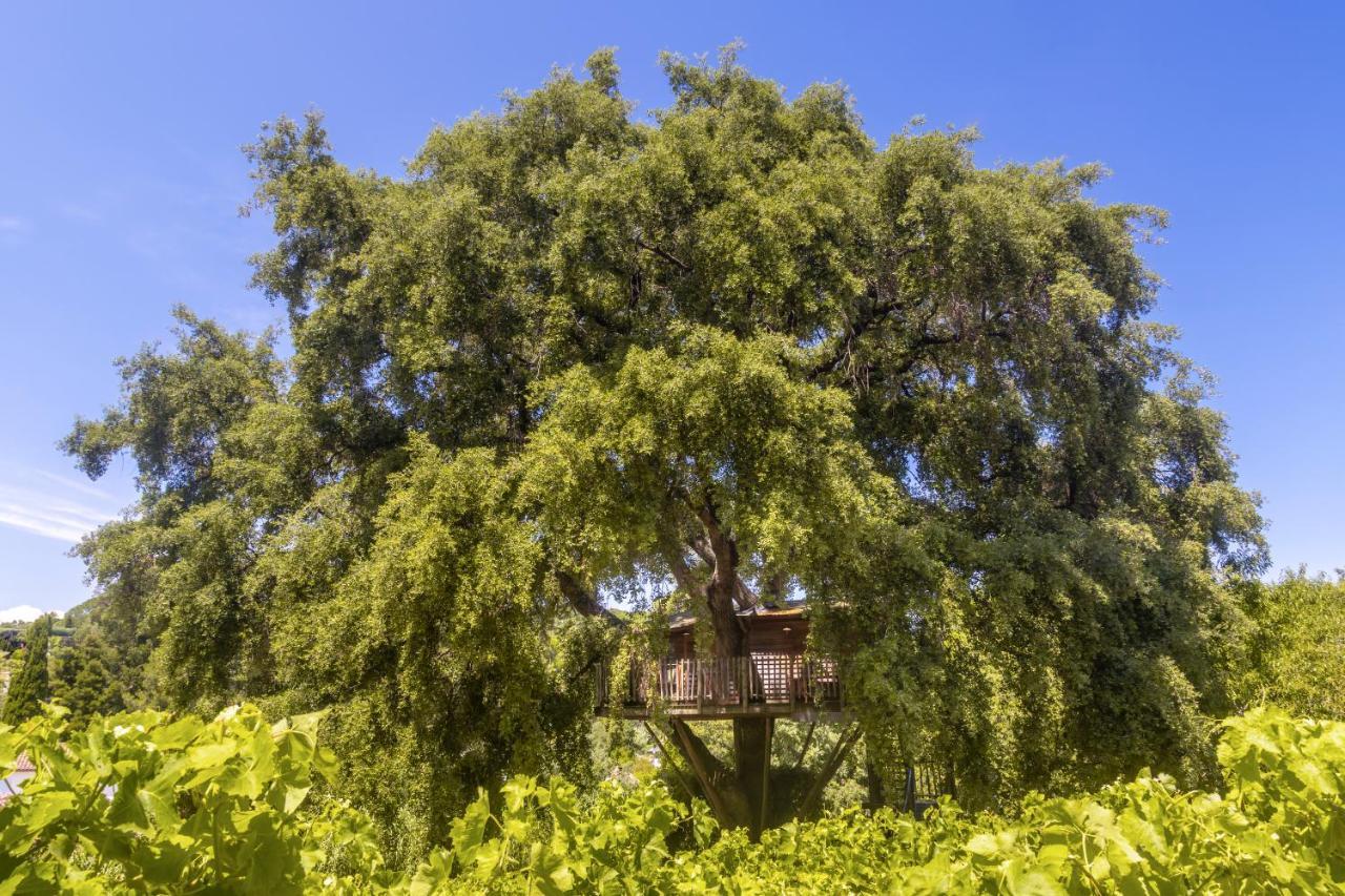 Chateau De Valmer La Croix-Valmer Eksteriør billede