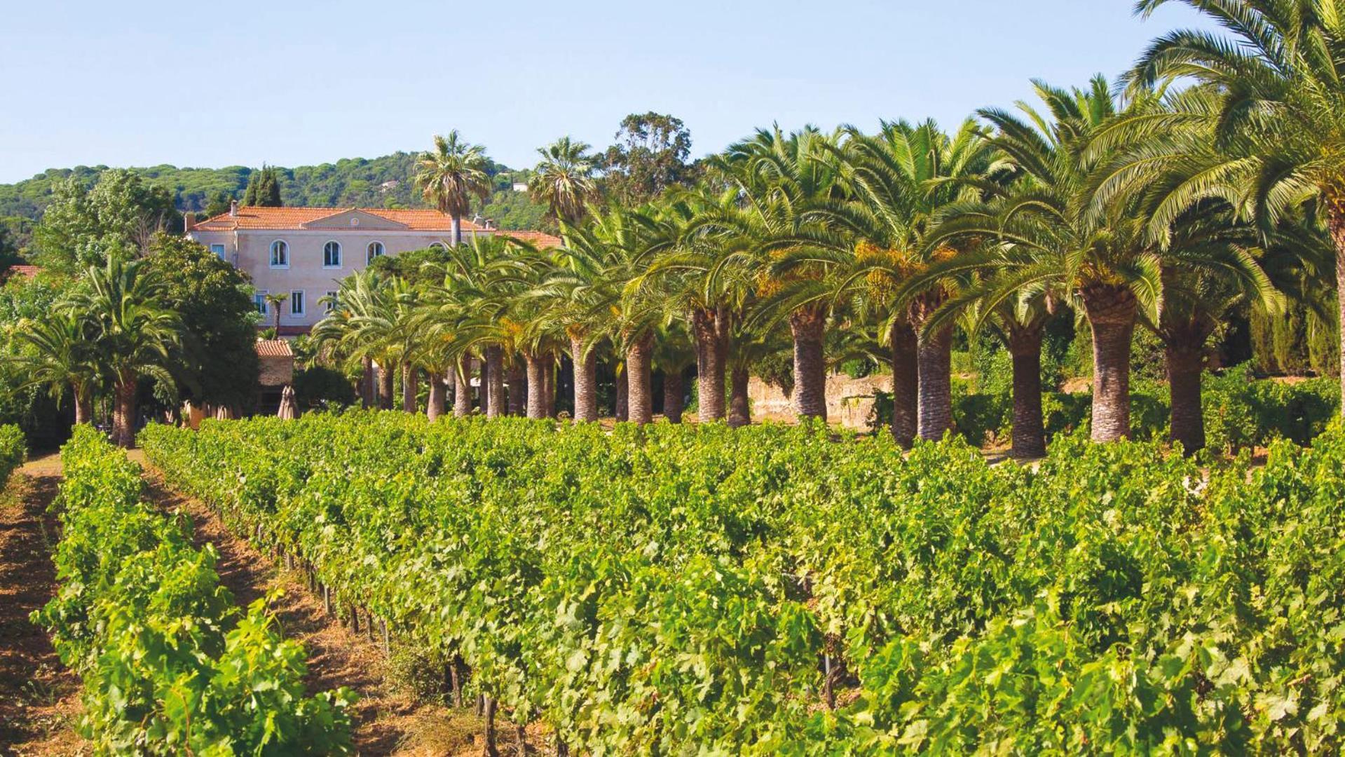Chateau De Valmer La Croix-Valmer Eksteriør billede